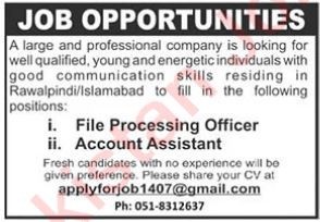 file-processing-officer-and-account-assistant-jobs-in-pakistan-2023